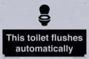 this-toilet-flushes-automatically~